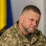 Залужний планує новий контрнаступ у 2024 році, – Die Welt