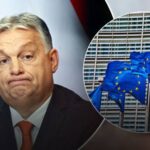 Як можна боротися з Орбаном: політолог назвав дієвий спосіб
