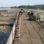 Керівник господарства на Вінниччині, де сталася масова загибель риби, переконався,…
