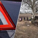 Маршрутка з людьми вилетіла з траси на Дніпропетровщині: що відомо…