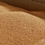 Орієнтовно 5 млн тонн зернових на рік вивозиться з України…