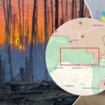 На Луганщині горить Серебрянський ліс: МВС опублікувало відео спроб загасити…
