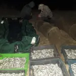 В нацпарку “Тузлівські лимани” виявлено масове браконьєрство
