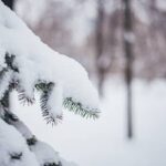 Чи можуть в Україні зникнути сніжні зими: метеорологиня здивувала прогнозом