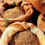 Справа сірого експорту зерна на “Олімпекс”: чому зерно досі не…
