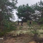 У лісах Сарненщини розшукують зниклого чоловіка