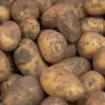 На 20 гривень дешевше: Скільки коштує молода картопля на ринках…