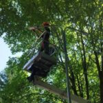 У Рівному встановили нове освітлення для безпеки та комфорту мешканців