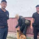 На Сарненщині пес вивів з лісу свого загубленого господаря та…
