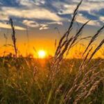 Свято 7 серпня: традиції та народні прикмети