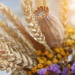 9 серпня на календарі: свята та традиції, дні ангела