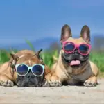 Україну 15 серпня накриє антициклон: де чекати до +35°C
