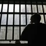 Суд ухвалив рішення: злочинець, який вбив собаку, отримає 7,5 років…