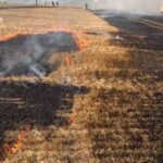 На Рівненщині вогонь ледь не знищив зернові: рятувальники ліквідували дві…