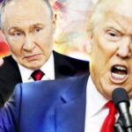Зустріч із Путіним стане справжнім випробуванням для Трампа: які можуть…