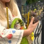 Яблучний Спас: як рівняни відзначають Преображення Господнє (ВІДЕО)