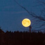 Кардаш'ян засумнівалася у висадці американців на Місяць: що їй відповіли…