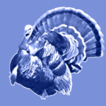 Оновлене правописання: цілковитий текст і ключові відмінності — журнал |…