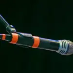 Кіркоров назвав вирок Тарасовою уроком для всіх