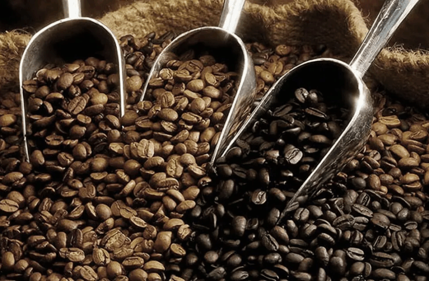 Свіжа обсмажка та преміум якість: Як вибрати та купити каву в зернах Koffen