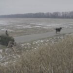 Стрічка “Війна крізь призму звірів” за участі Шона Пенна&hellip;