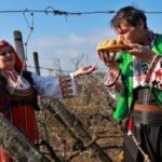 Фестиваль вина: Трифонів день на Бессарабії