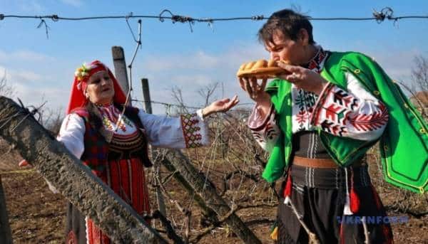 Фестиваль вина: Трифонів день на Бессарабії