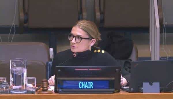 Україна вперше очолила Комісію ООН з питань соціального розвитку