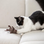 Популярные игрушки для кошек купить: выбор, который оценят ваши…