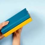 В Індії та Франції опублікують свіжі версії творів Василя&hellip;