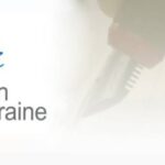 Український ПЕН назвав “домашні почуття” ключовою ідеєю 2026 року