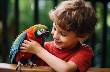 Птахи для малечі: креативні вправи