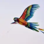 Чому самообмеження — це єдина справжня свобода