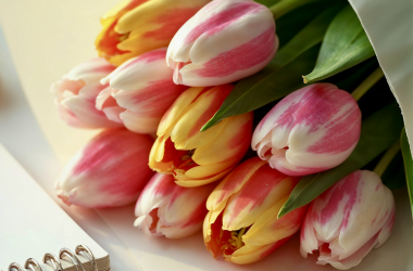 Профспілковий комітет пропонує відзначити 8 Березня без звичних квіткових композицій.