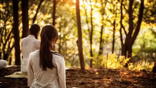 Жодних ретритів на Балі і годин у позі лотоса. Нейробіологи порахували, скільки…