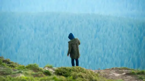 Чому пробіжка не рятує від туги, а безцільне розглядання дерев — так