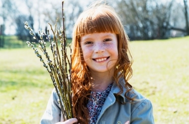 Напередодні Вербної неділі: ідеї для поробок