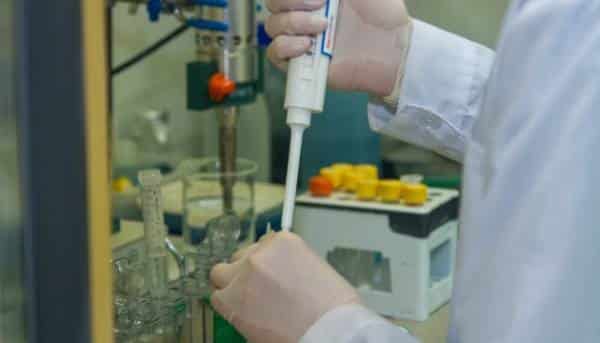 В Україні щороку фіксують десятки випадків хантавірусу – Центр здоров’я