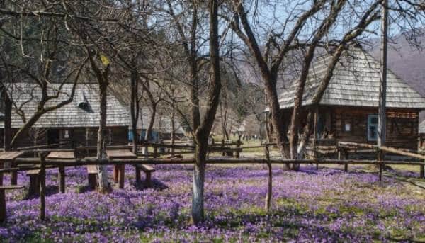 Три чверті жителів українських сіл не планують переїздити до інших громад