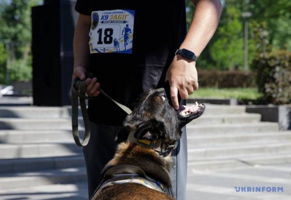 У Києві вперше провели військовий K9-забіг із службовими собаками - встановлений рекорд України 20