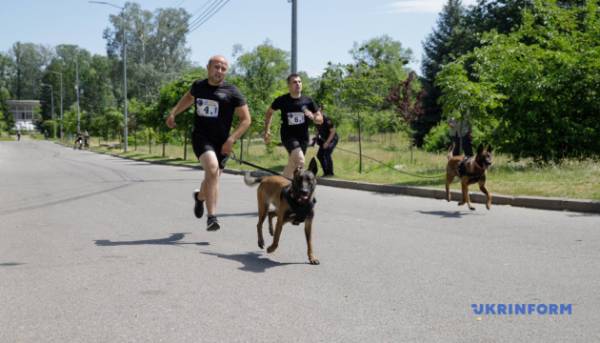 У Києві вперше провели військовий K9-забіг із службовими собаками - встановлений рекорд України 23