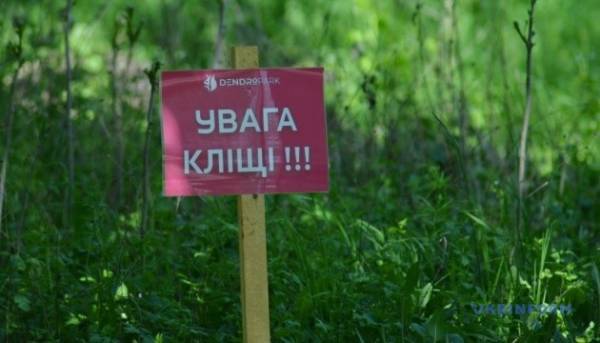Сезон кліщів: коли бігти до лікаря і кому необхідна вакцинація