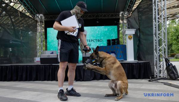 У Києві вперше провели військовий K9-забіг із службовими собаками - встановлений рекорд України 18