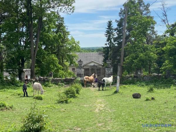 «Бузкова ніч» у Маліївцях 33 «Бузкова ніч» у Маліївцях 33