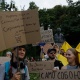 У Києві та інших містах вже п’ятий день тривають протести 44 У Києві та інших містах вже п’ятий день тривають протести 44