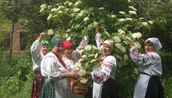 На городі чорна бузина, на столі чорносмородиновий лікер