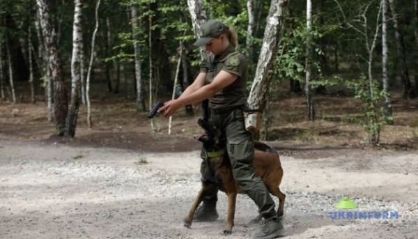 Правоохоронці провели на Київщині спільні навчання 15 Правоохоронці провели на Київщині спільні навчання 15