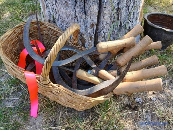 «Зажинки»: перші зібрані з поля колоски відклали для різдвяного дідуха 19