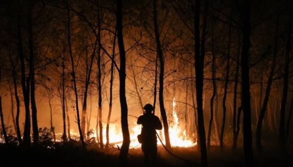 Українські рятувальники повернулися з Франції, де допомагали гасити лісові пожежі