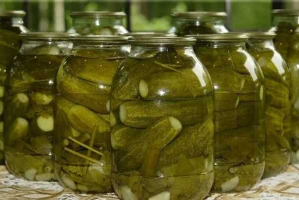 Смачні кулінарні рецепти - MoySad 86 Смачні кулінарні рецепти - MoySad 86